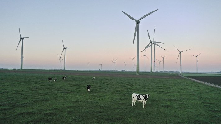 Windpark Lövenich am Netz