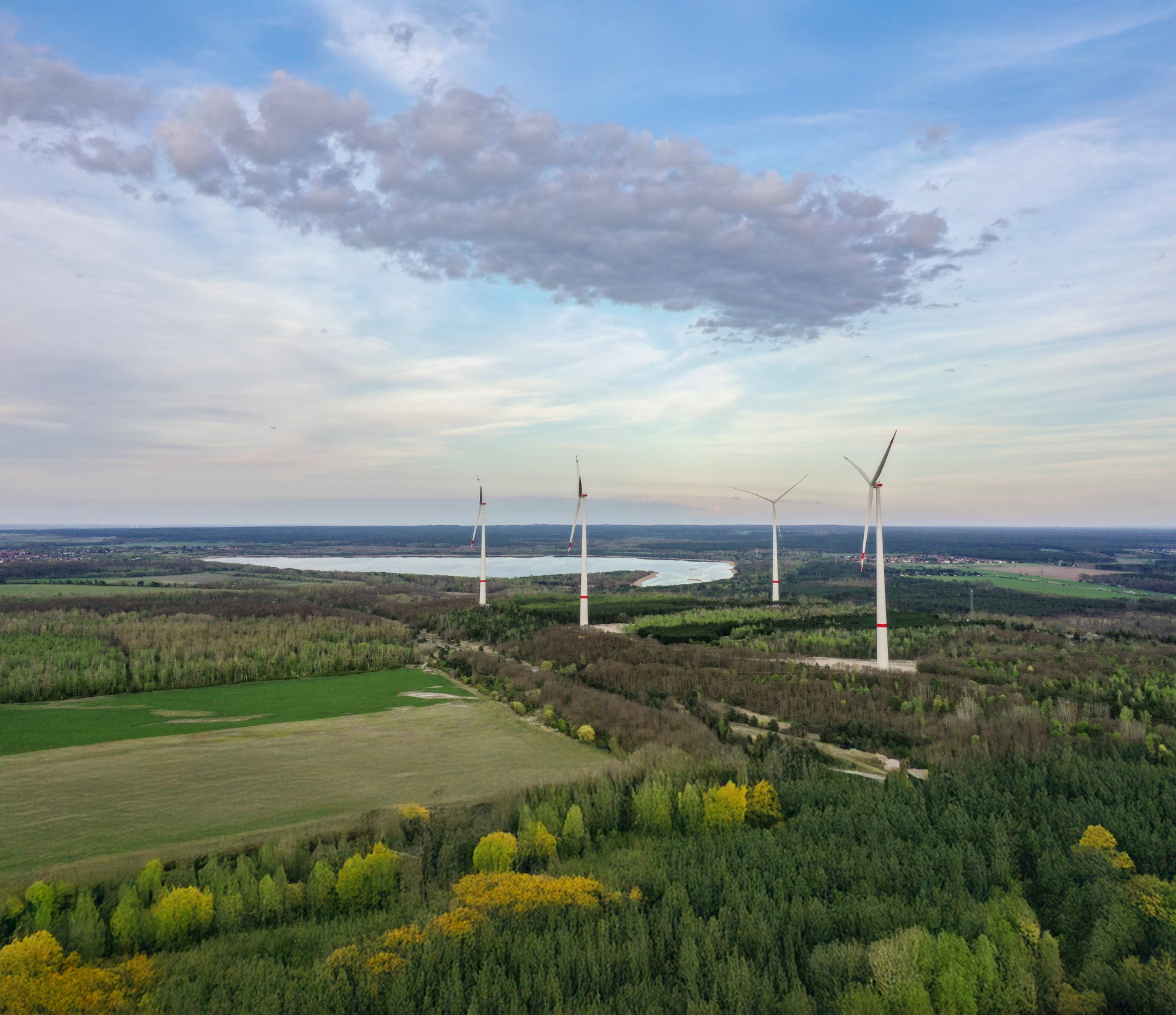 Der Windpark Zschornewitz